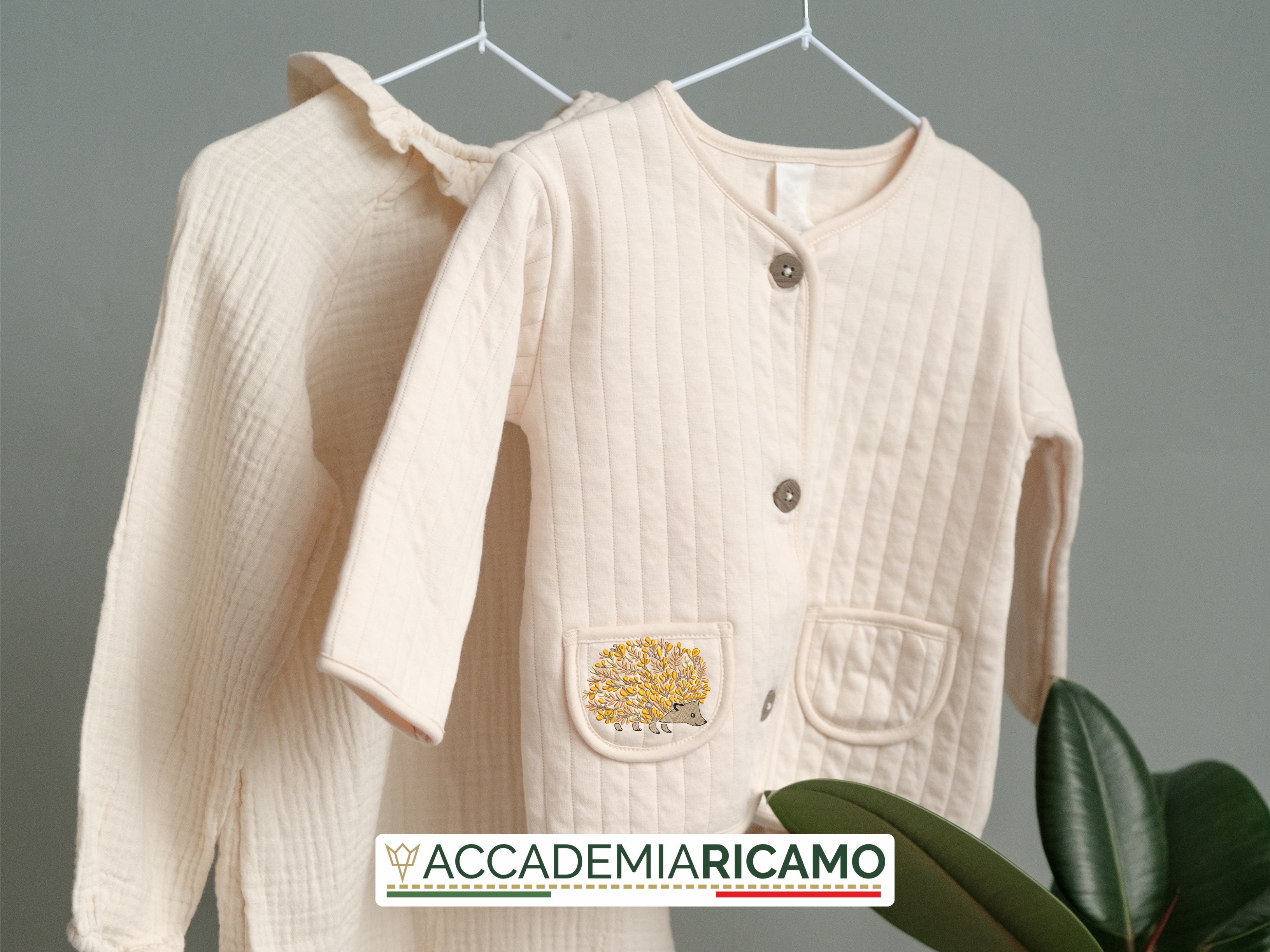 Riccio Foglie - immagine 9