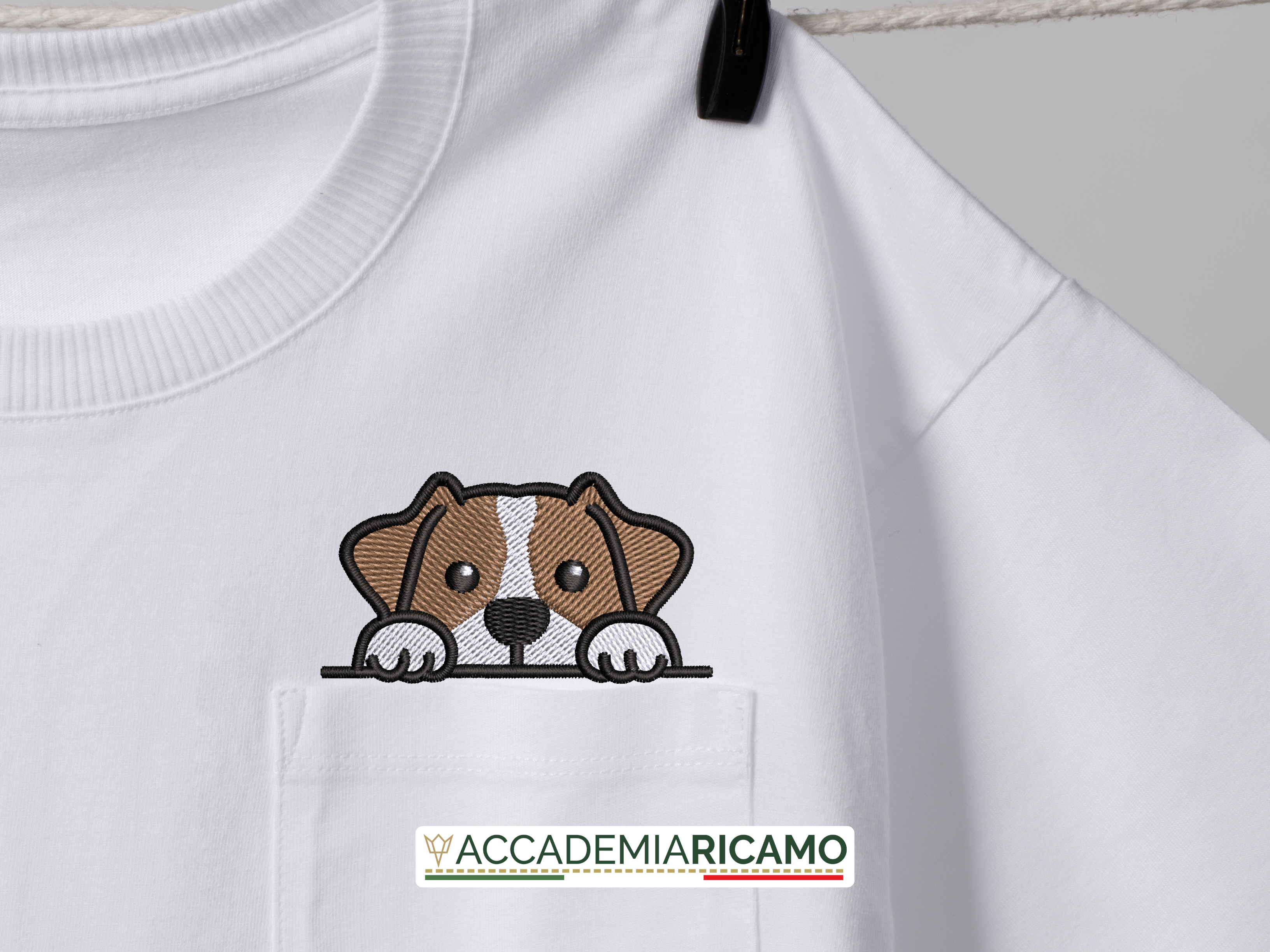 Jack Russel - immagine 8