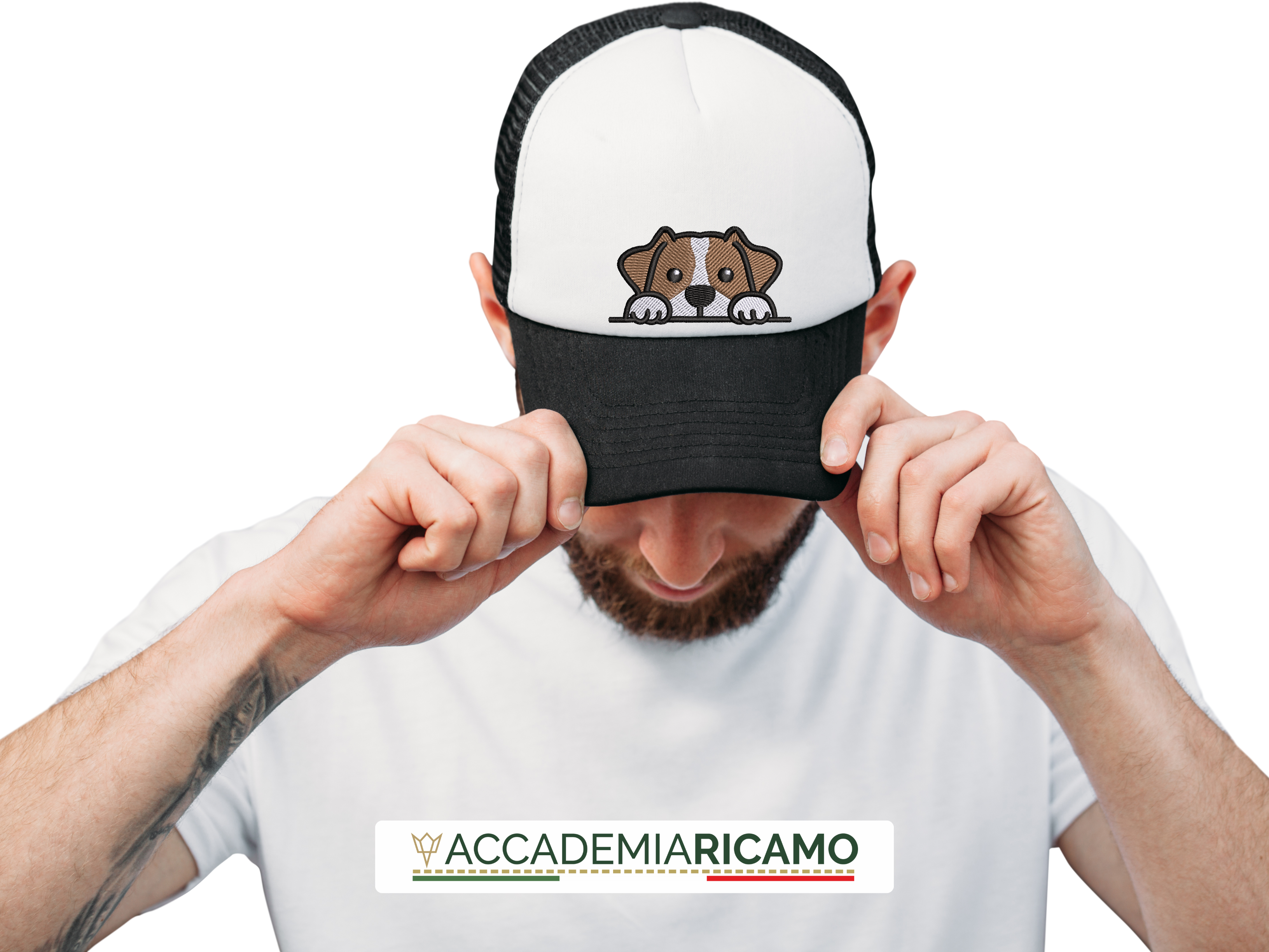 Jack Russel - immagine 6