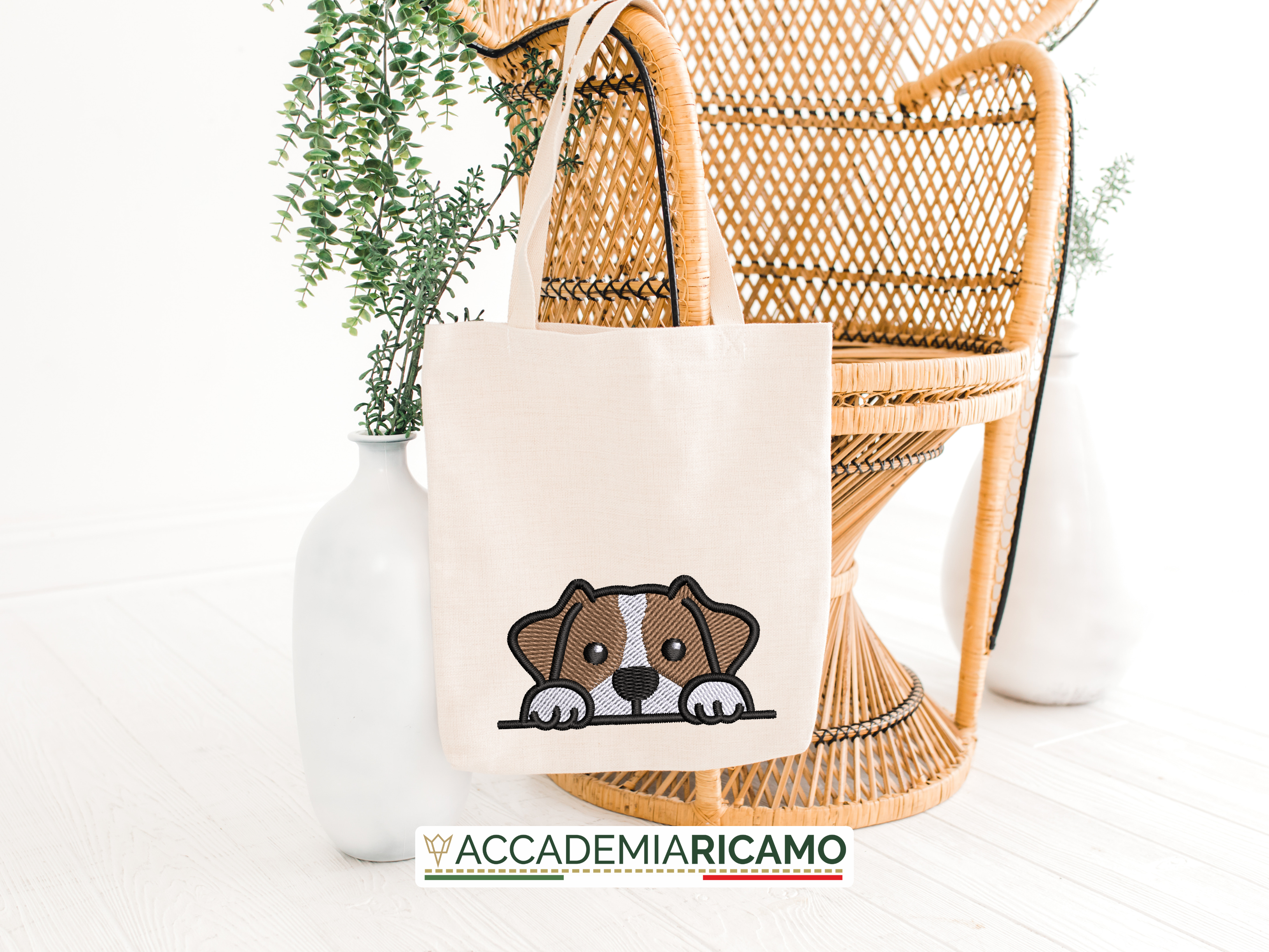 Jack Russel - immagine 9