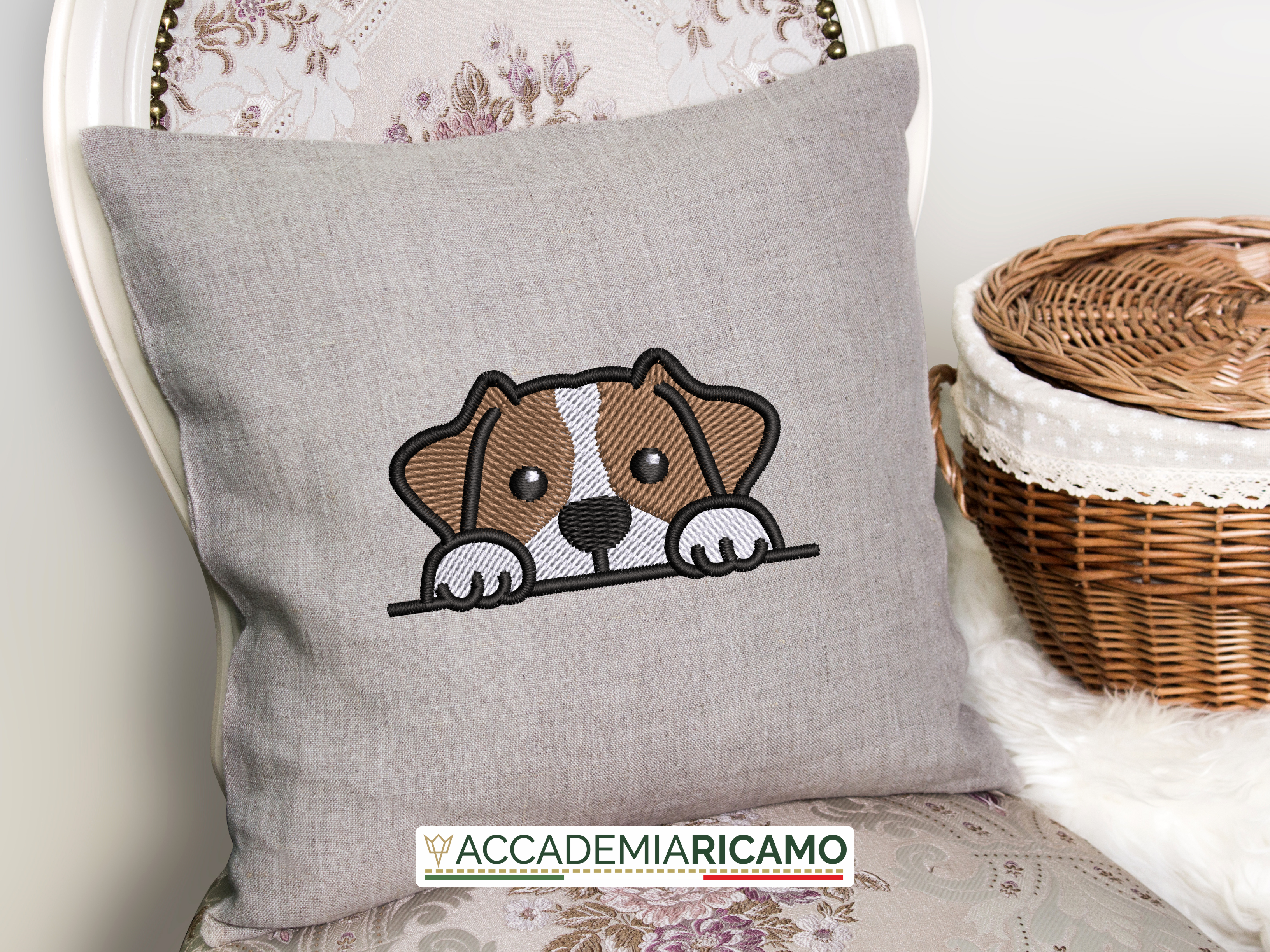 Jack Russel - immagine 10